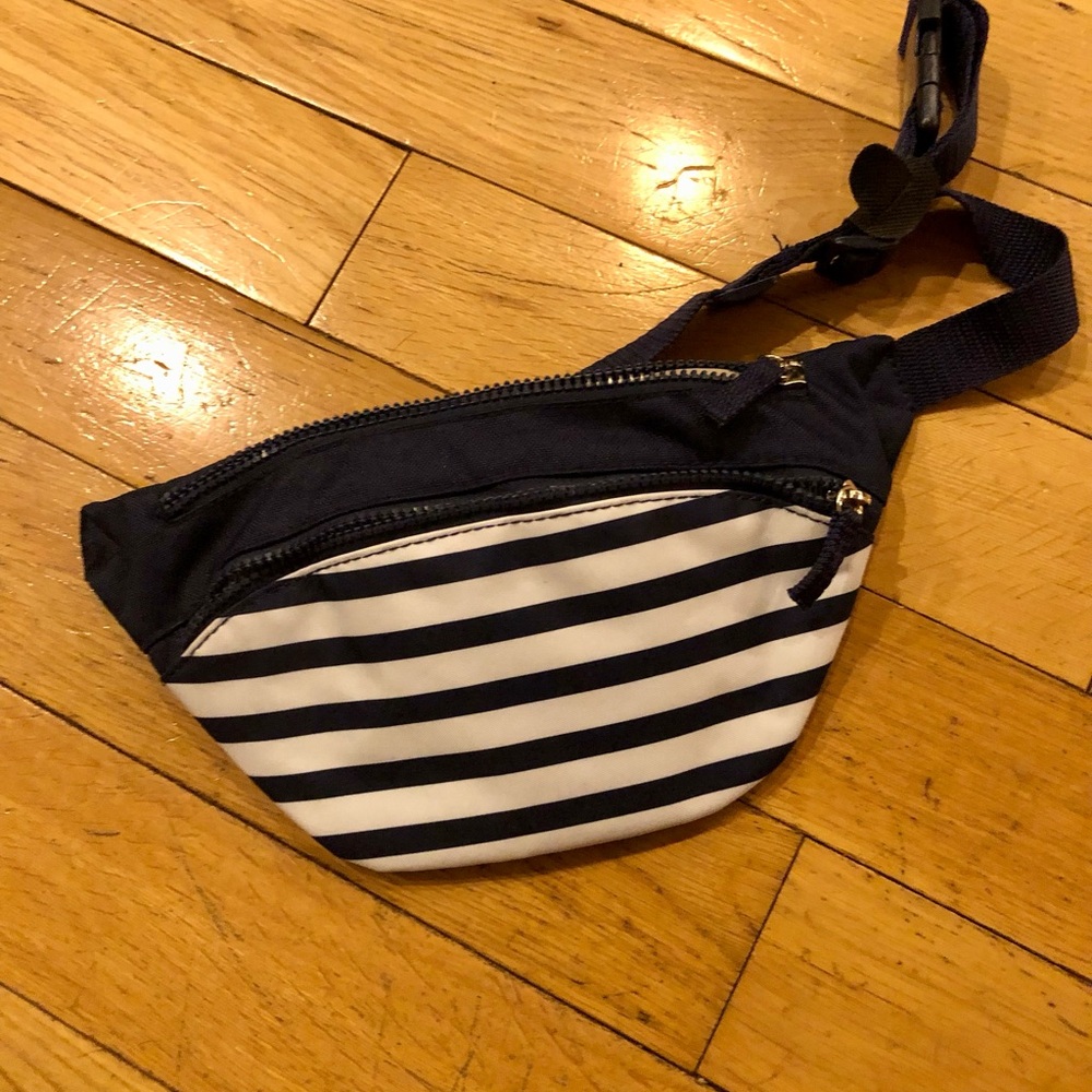 Stylish Blue  and White Striped women’s belt Bag